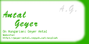 antal geyer business card